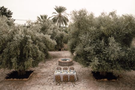 Finca Fidegüet en Alicante